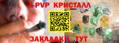 прущие грибы Малгобек