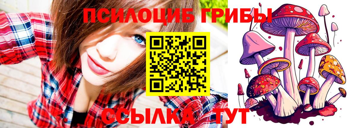 Галлюциногенные грибы MAGIC MUSHROOMS  Вход с VPN  Тимашёвск 